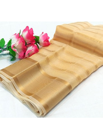 Lining Printed Organza Dupatta - Beige