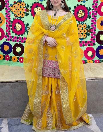 Heavy Embroidered Organza Bridal Mayun & Mehndi Dress