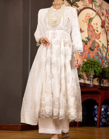 Almirah 3 Pcs Poly Net Fancy Wedding Dress | AL-3PS-LS-371