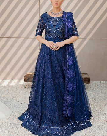 Emaan Adeel Luxury Embroidered Net Maxi Dress | BL-510